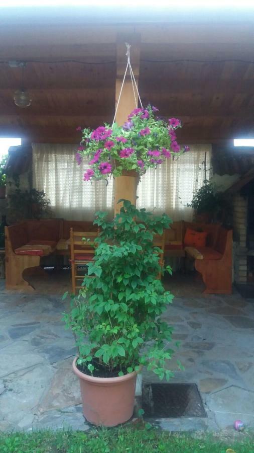 Casa Hostal Olga - Castilla Y Leon Cofinal Zewnętrze zdjęcie